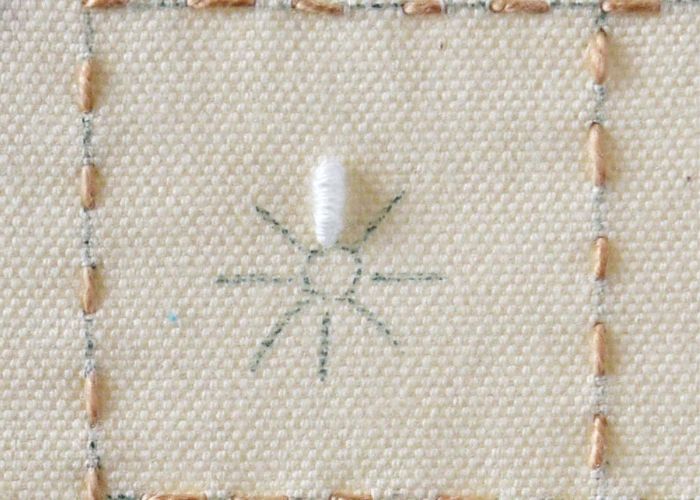 bullion stitch flowers: Daisy step 1